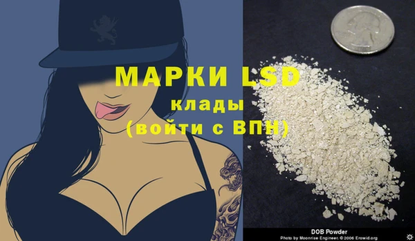 PSILOCYBIN Волосово