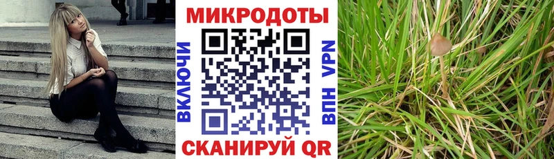 наркотики Лысково OMG онион Галлюциногенные грибы ЛСД